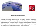 Powłoka hydrofobowa - opis.JPG