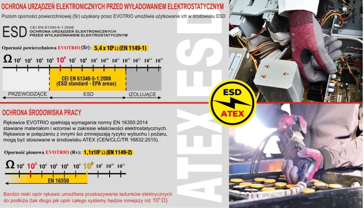 Evotrio ESD-ATAX (PL).JPG