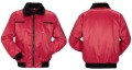 Gletscher 0359 (front, back).JPG