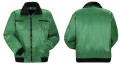 Gletscher 0361 (front, back).JPG