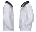 Gletscher 0363 (sides).JPG