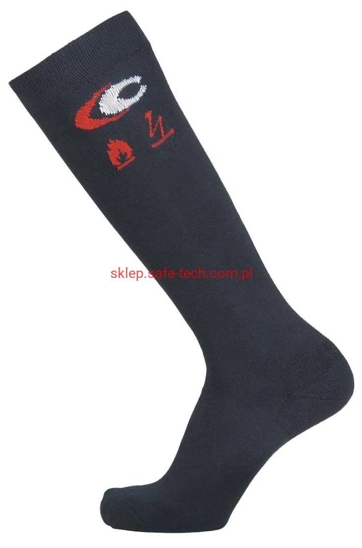 Top Flame Long.JPG