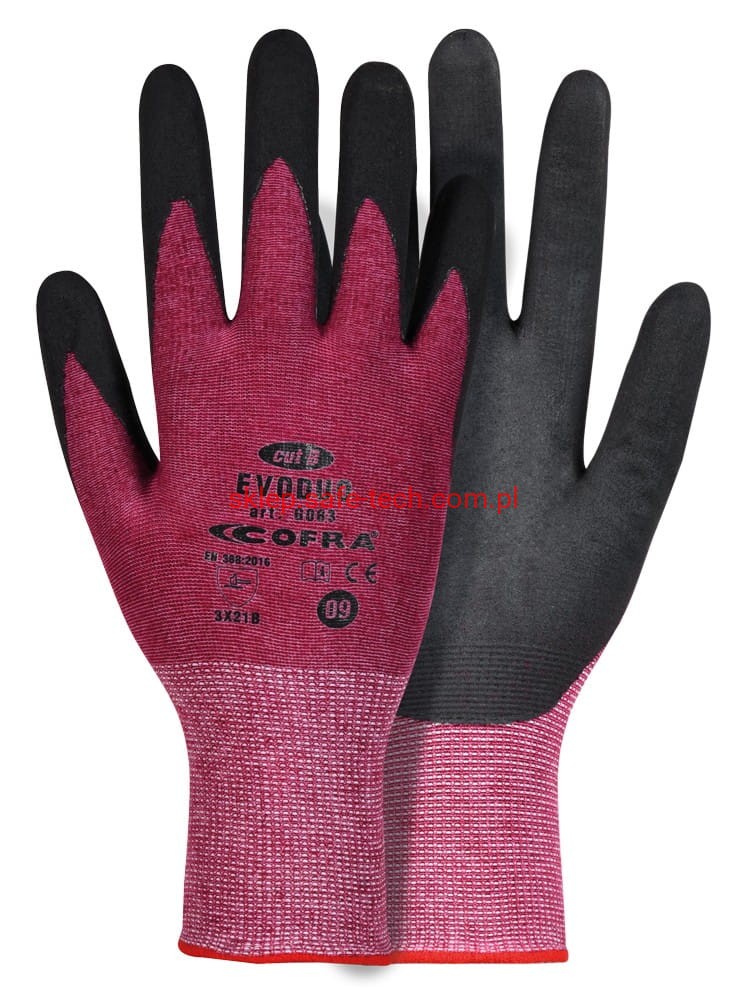 Evoduo (1).JPG