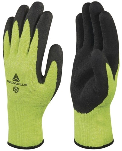 Apollon Winter Cut VV737 (1).JPG