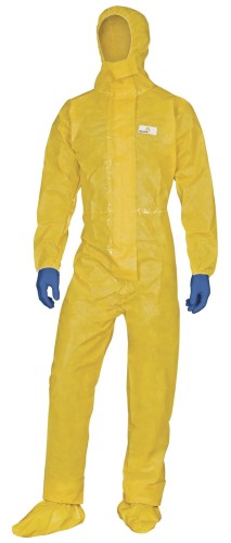 DT300 with V1383.jpg