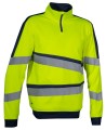 Lixus Yellow.JPG
