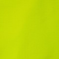 Evanton Yellow (rip-stop).JPG