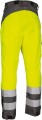 Safe Yellow (tył).JPG