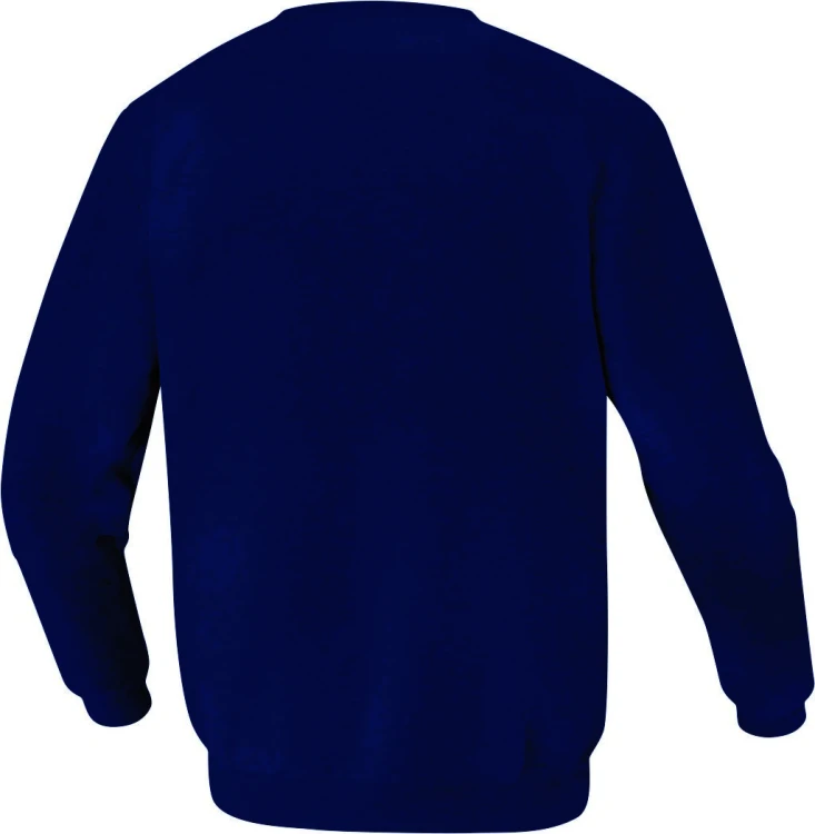 Jpg HD-SWEFR2-back.jpg