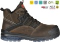 Goya Brown (2).JPG