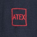 ATEX.JPG