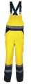 Tuttle yellow.JPG