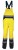 Tuttle yellow.JPG