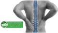 Excellent shock absorber (back strains).JPG