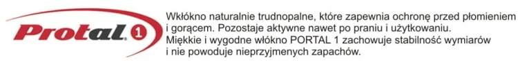 Protal 1 - opis.JPG