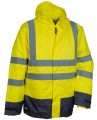 Telsen yellow.JPG