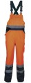 Tuttle orange.JPG